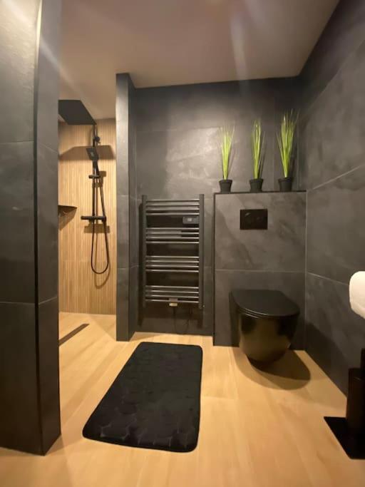 Suite Liana - Spa- Sauna Rorschwihr Exterior photo